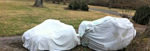 The bed sheet and plastic trap ground heat and act as a greenhouse.