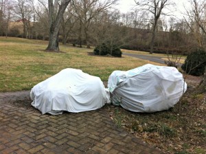 The bed sheet and plastic trap ground heat and act as a greenhouse.