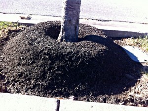 A Mulch Volcano is a waste of money. Two inches deep max.