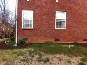 This foundation wall was planted Nov. 2013.