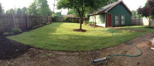 Sod, mulch, and specimen shrubs transform this neglected back yard!