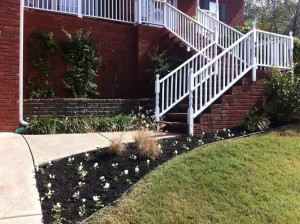 White pansies and ornamental grasses with black mulch add interest.