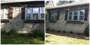 Weeds removed, shrubs installed, weed fabric, and pine straw create low maintenance.