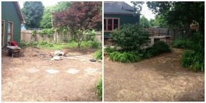 Before Transformation, many weeds and liriope (monkey grass) to move!