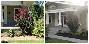 A weigelia was removed, the Centennial Spirit crapemyrtle was pruned, and a korean boxwood border added. A soaker hose is buried under the mulch for irrigation during the August heat.