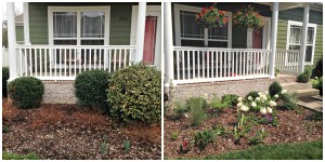 Perennials and flowering shrubs spruce up this nice home.